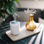 TrueLife AIR Diffuser WL5