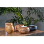 TrueLife aroma difuzér AIR Diffuser D3 Light