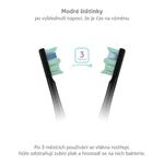 TrueLife SonicBrush Clean70 UV Black