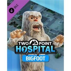 Two Point Hospital Bigfoot elektronická licence