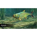 Ultimate Fishing Simulator Amazon River