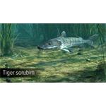 Ultimate Fishing Simulator Amazon River