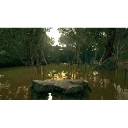 Ultimate Fishing Simulator Amazon River