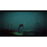 Under The Waves