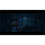 Until Dawn