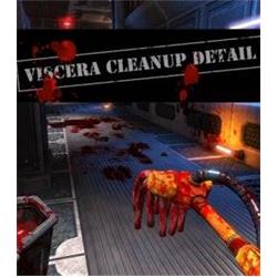 Viscera Cleanup Detail elektronická licence