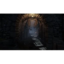 Warhammer End Times Vermintide Collectors Edition
