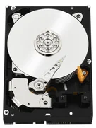WD SENTINEL HDD 2TB DRIVE KIT (DATACENTER 7200 RPM)