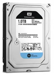 Western Digital RAID EDITON 1TB, SATA/600, 128MB, WD1002F9YZ