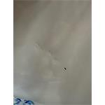 Whirlpool ARG 18081