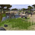 WildLife Park 2