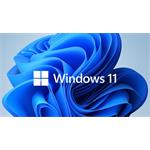 Windows 11 Pro OEM