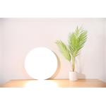 Xiaomi Mi Smart LED stropné svetlo (350 mm)