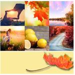 Yankee Candle Autumn Sunset 567g