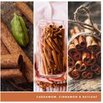 Yankee Candle Cinnamon Stick 567g