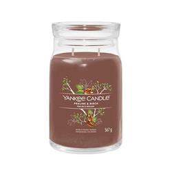 Yankee Candle Praline & Birch 567g