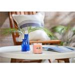 Yankee Candle Tropical Breeze 368g