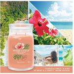 Yankee Candle Tropical Breeze 567g