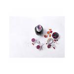Zwilling smoothie mixér Enfinigy, černý